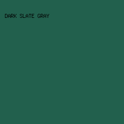 22604d - Dark Slate Gray color image preview