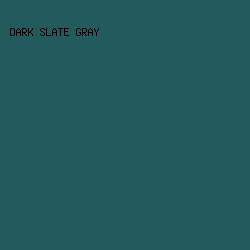 235A5D - Dark Slate Gray color image preview