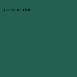 235E52 - Dark Slate Gray color image preview