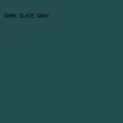 244D4F - Dark Slate Gray color image preview