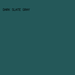 245859 - Dark Slate Gray color image preview