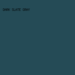 254B56 - Dark Slate Gray color image preview