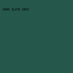 25574B - Dark Slate Gray color image preview