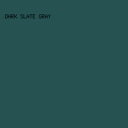 265252 - Dark Slate Gray color image preview