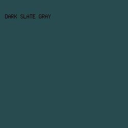 284B50 - Dark Slate Gray color image preview