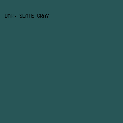 285657 - Dark Slate Gray color image preview