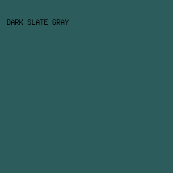 2C5C5C - Dark Slate Gray color image preview