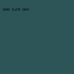 2D5557 - Dark Slate Gray color image preview