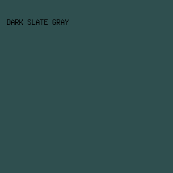 2F4F4F - Dark Slate Gray color image preview