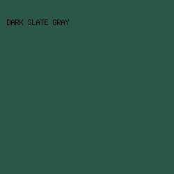 2b5746 - Dark Slate Gray color image preview