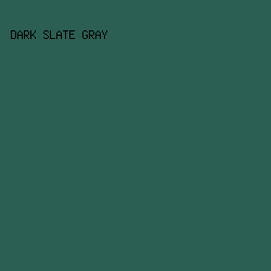 2b5f54 - Dark Slate Gray color image preview