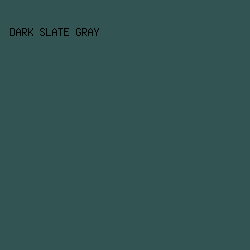 325453 - Dark Slate Gray color image preview