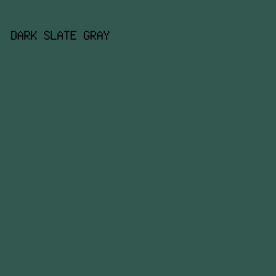 32584f - Dark Slate Gray color image preview