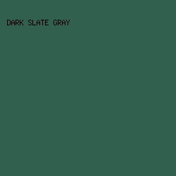 32604F - Dark Slate Gray color image preview