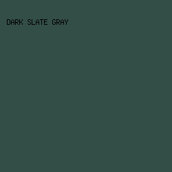334D47 - Dark Slate Gray color image preview