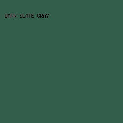 335E4B - Dark Slate Gray color image preview