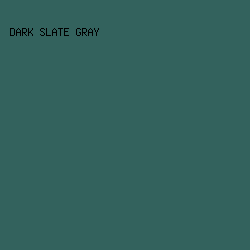 33625d - Dark Slate Gray color image preview