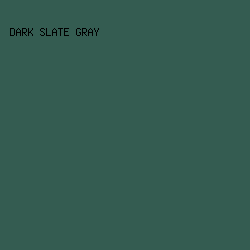 345C51 - Dark Slate Gray color image preview