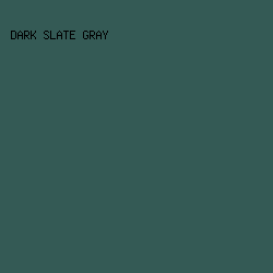 345a55 - Dark Slate Gray color image preview
