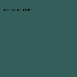345e59 - Dark Slate Gray color image preview