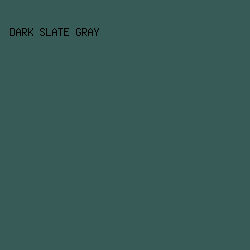 375c58 - Dark Slate Gray color image preview