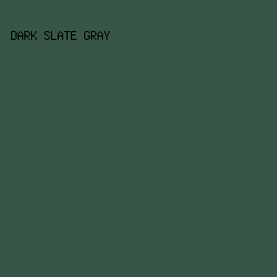 385647 - Dark Slate Gray color image preview