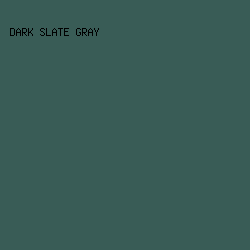 395C56 - Dark Slate Gray color image preview