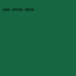166641 - Dark Spring Green color image preview