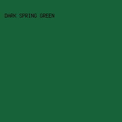 186239 - Dark Spring Green color image preview