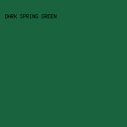 19643F - Dark Spring Green color image preview