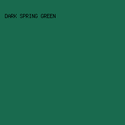 196A4E - Dark Spring Green color image preview