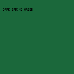 1B683B - Dark Spring Green color image preview