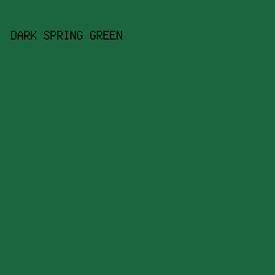 1C663F - Dark Spring Green color image preview