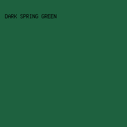 1E613F - Dark Spring Green color image preview