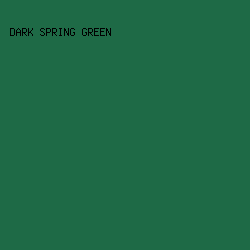 1E6A46 - Dark Spring Green color image preview