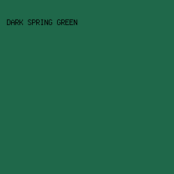 1F684A - Dark Spring Green color image preview