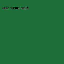 1F713A - Dark Spring Green color image preview