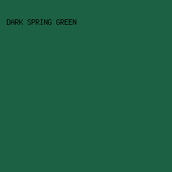 1c6144 - Dark Spring Green color image preview