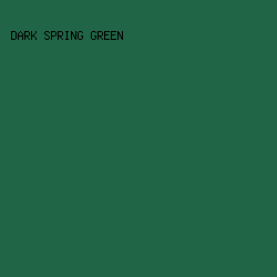 206646 - Dark Spring Green color image preview