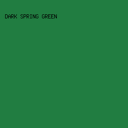 217d41 - Dark Spring Green color image preview