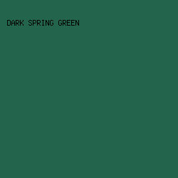 23644d - Dark Spring Green color image preview