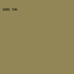 928657 - Dark Tan color image preview