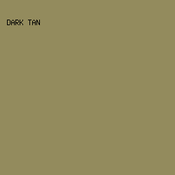 938B5D - Dark Tan color image preview