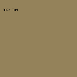 94825A - Dark Tan color image preview