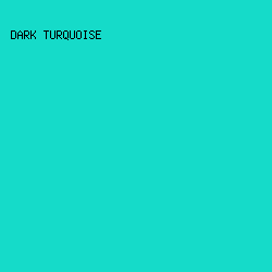 15dbc9 - Dark Turquoise color image preview