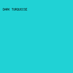 20D2D5 - Dark Turquoise color image preview