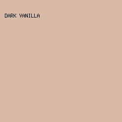 D9BBA5 - Dark Vanilla color image preview