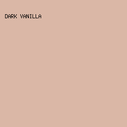 DAB7A6 - Dark Vanilla color image preview