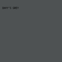 4E5253 - Davy's Grey color image preview