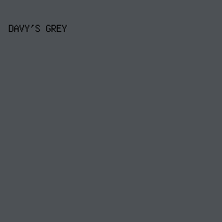 4d5155 - Davy's Grey color image preview